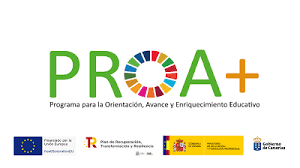 Encuesta PROA+ –  https://www3.gobiernodecanarias.org/medusa/edublog/iescarrizal